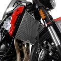 R&G Racing Radiator Guard for the Triumph Trident 660 '21-'22 / Tiger Sport 660 '2022